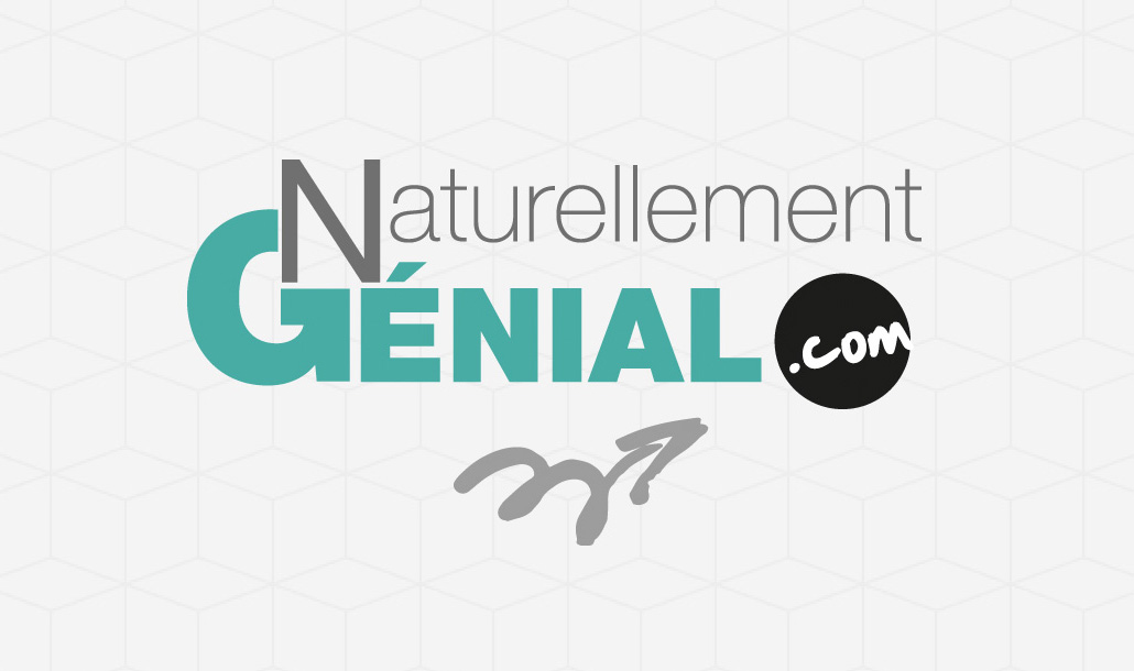 création identité visuelle Naturellement Genial Nantes – Studio design graphique Vert Anis